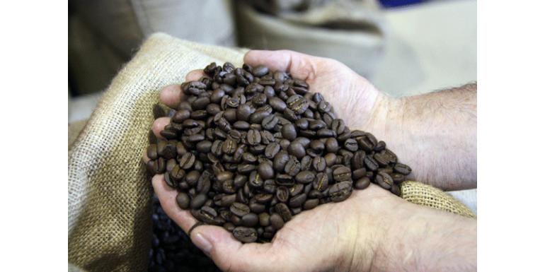 Els canvis del cafè durant el procés de torrat