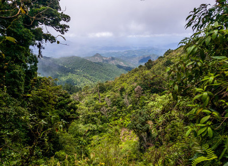 Finca "Ojo del Agua"