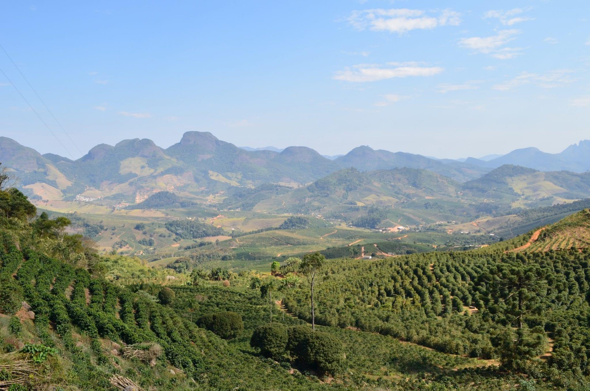 Vistas de las plantaciones de café en Cerrado de Minas